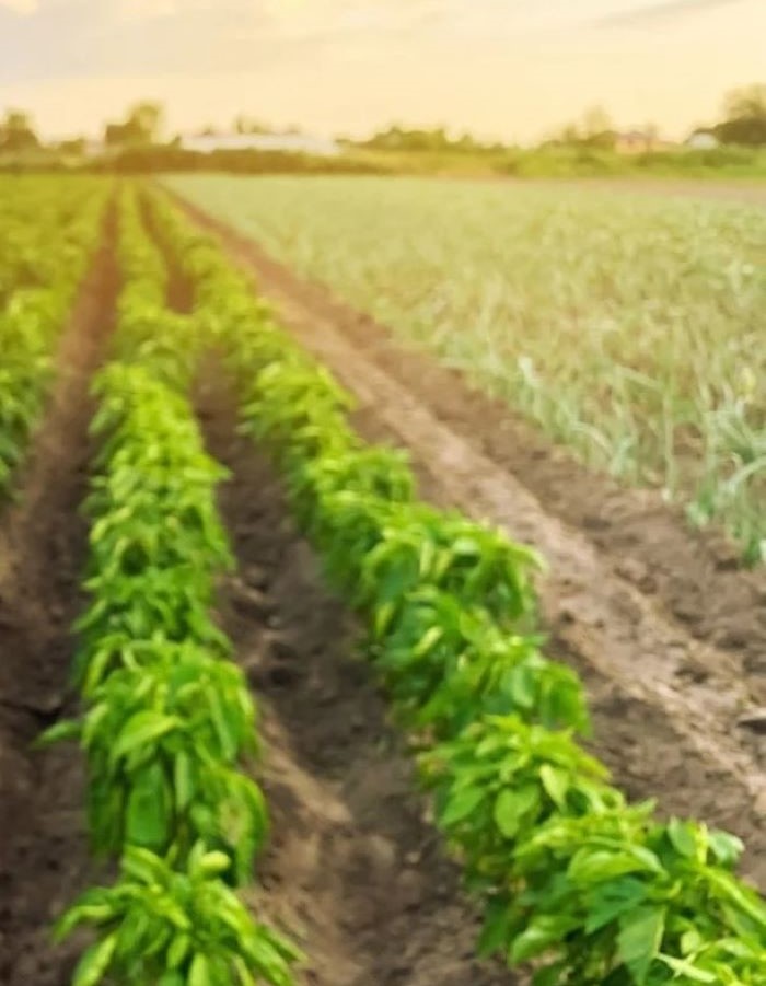 feature-2020-12-11T170851