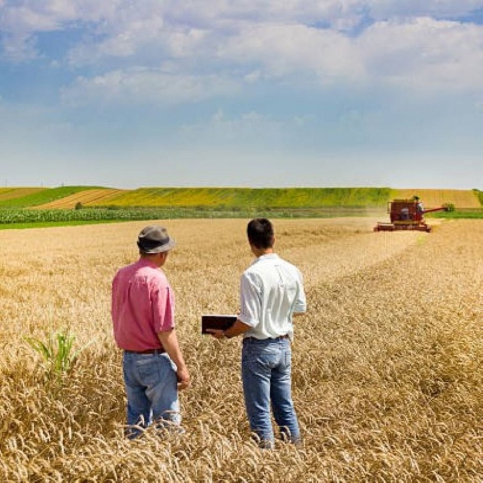 istockphoto-513755595-612x612